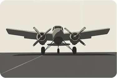 Aviation Consulting Airplane